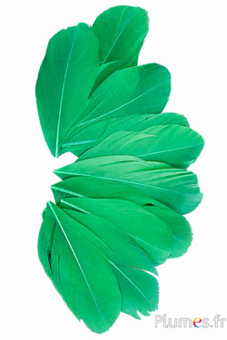 Petali in piume - 6-8 cm x 3-4 cm - verde